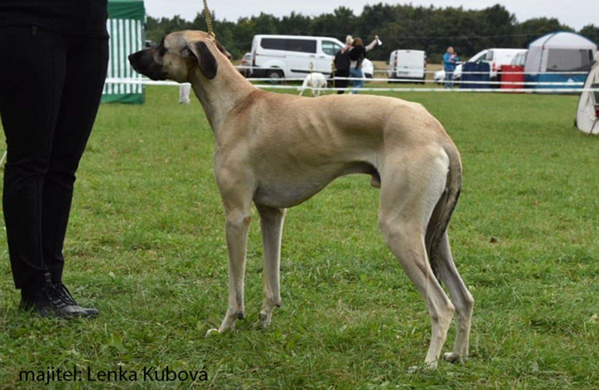 2023 – rozjezd s nováčky