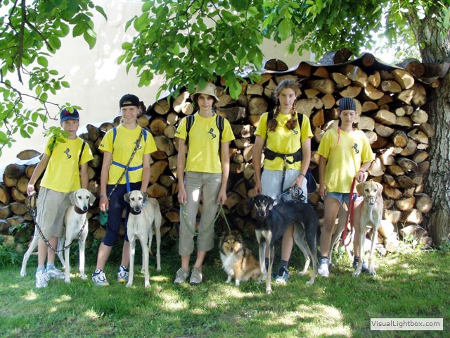 Sloughi Dalvit fotogalerie