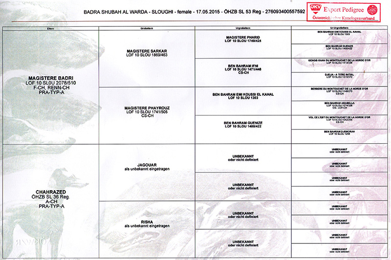 Helen — fotografie