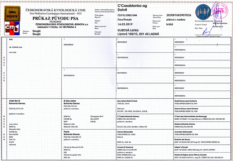 Kasička — fotografie