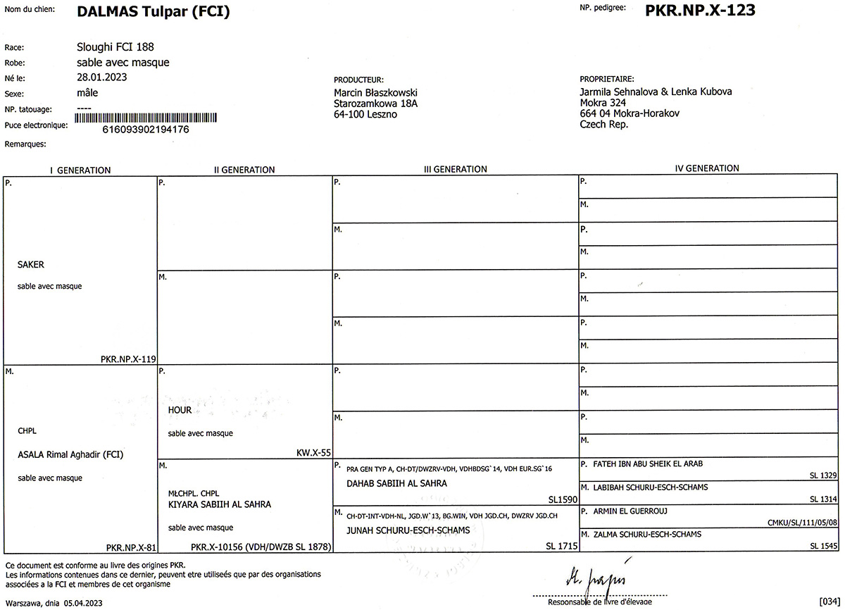 Dalmas — fotografie