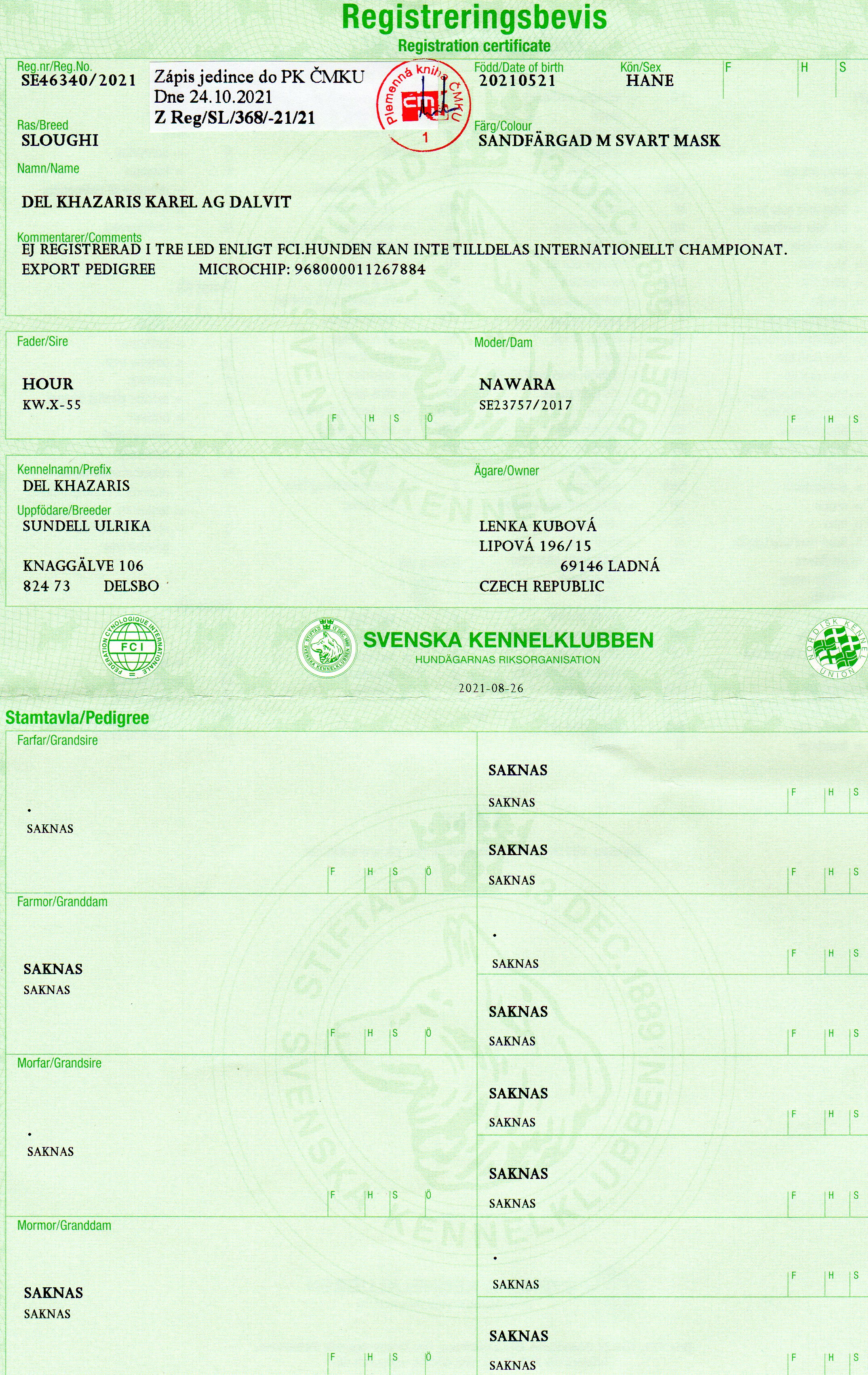 Karel — fotografie