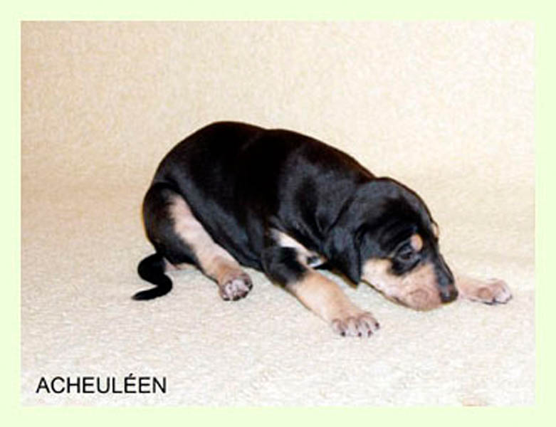 Vrh A — fotografie