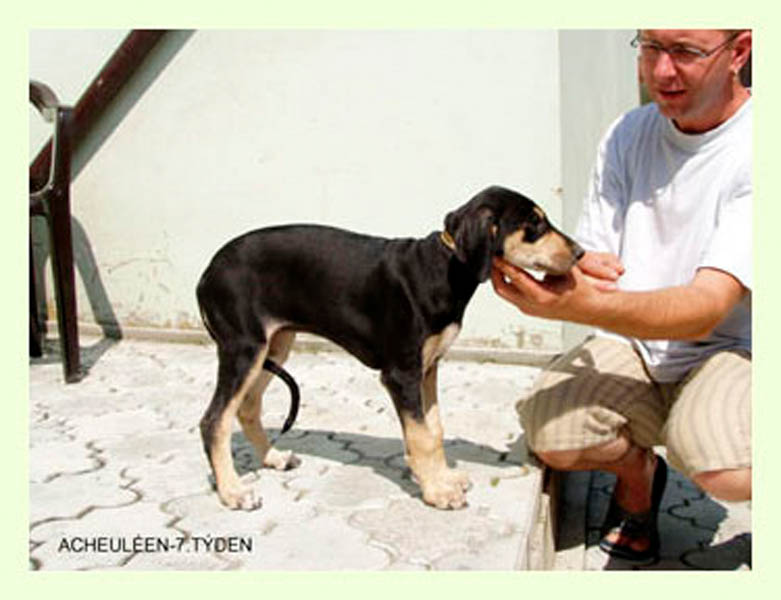 Vrh A — fotografie