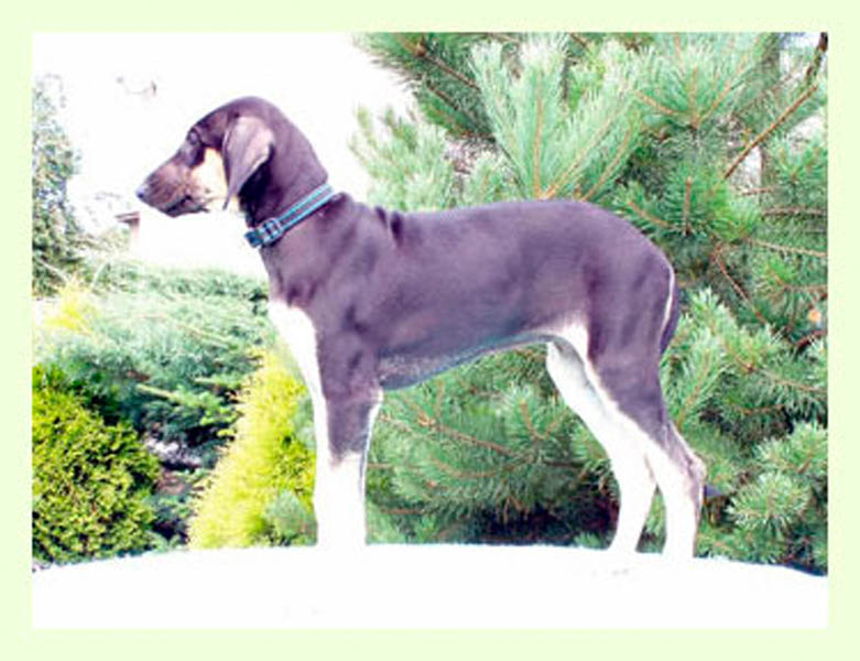 Vrh A — fotografie