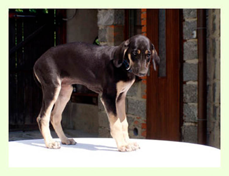 Vrh A — fotografie