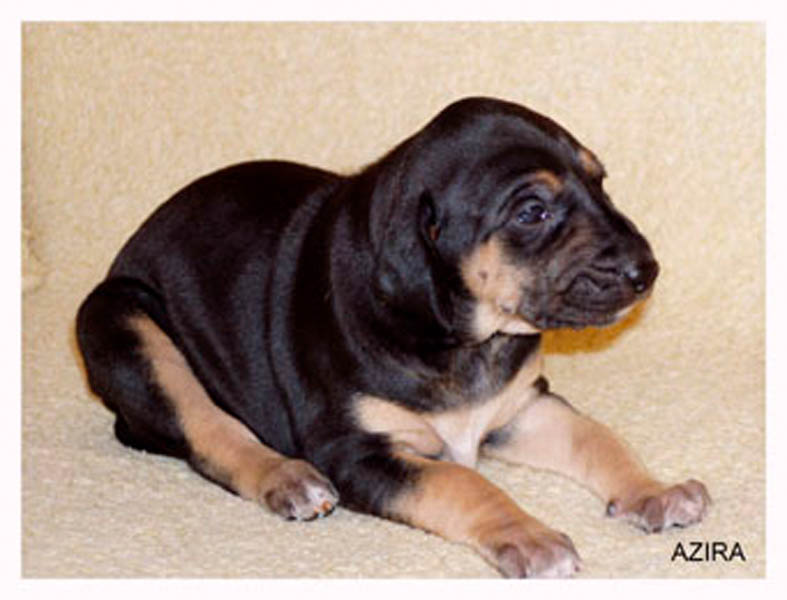 Vrh A — fotografie