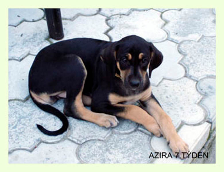 Vrh A — fotografie