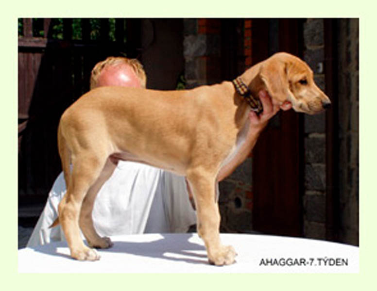 Vrh A — fotografie