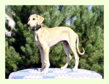 Vrh A — fotografie