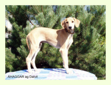 Vrh A — fotografie