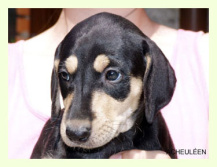 Vrh A — fotografie