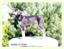 Vrh A — fotografie