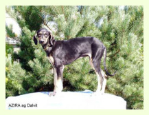 Vrh A — fotografie