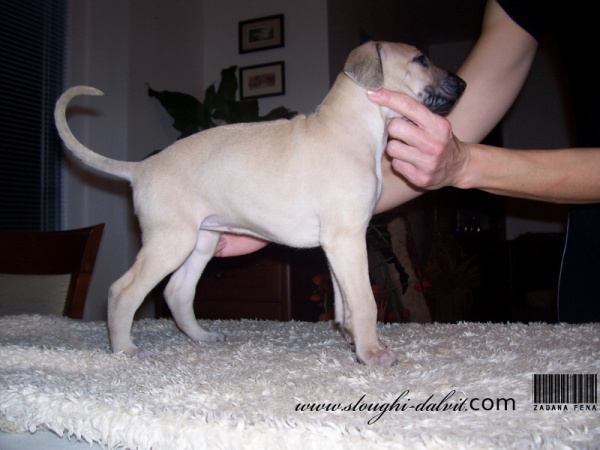 Vrh B — fotografie