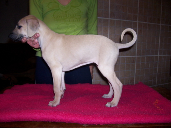 Vrh B — fotografie