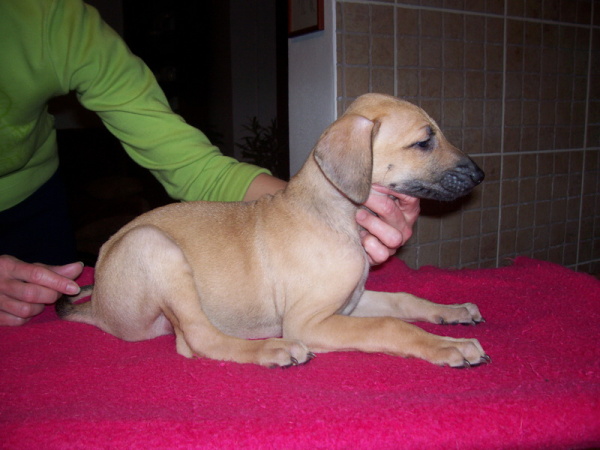 Vrh B — fotografie