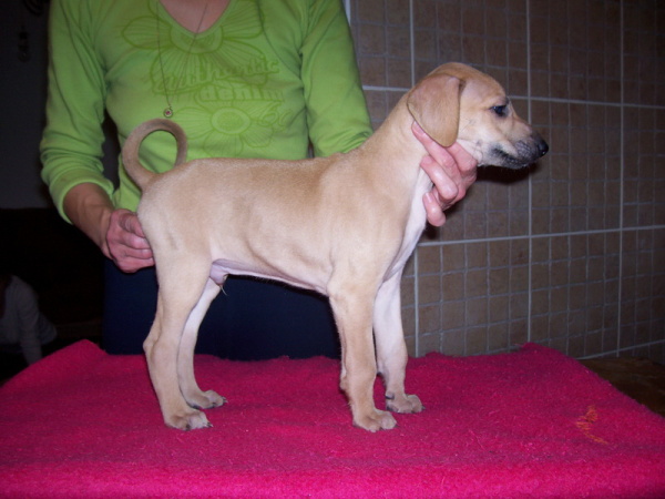 Vrh B — fotografie