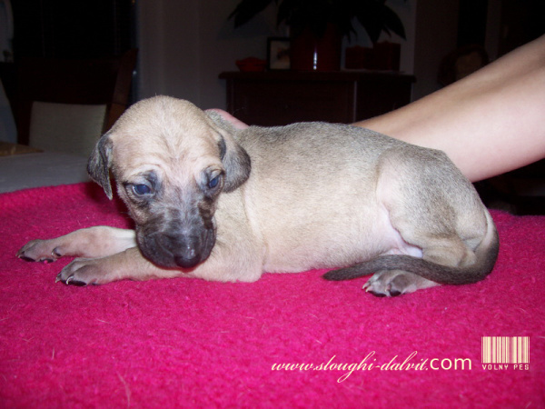 Vrh B — fotografie