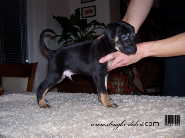 Vrh B — fotografie