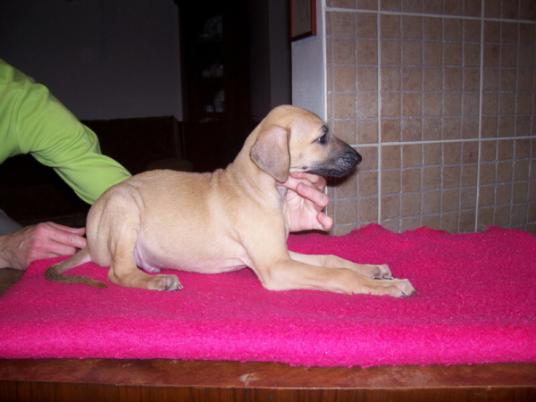 Vrh B — fotografie