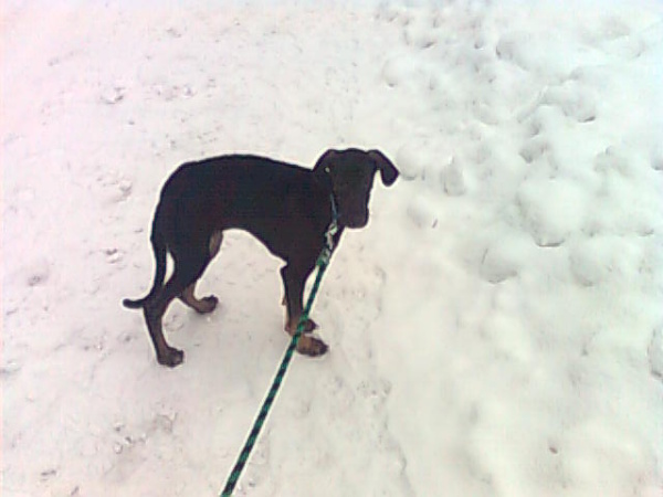 Vrh B — fotografie