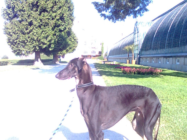 Vrh B — fotografie