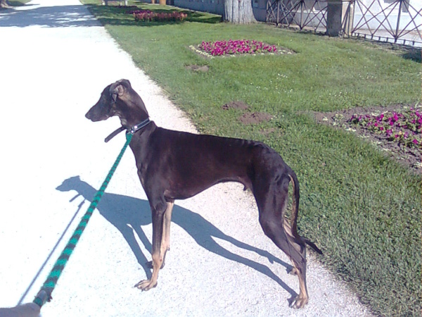 Vrh B — fotografie