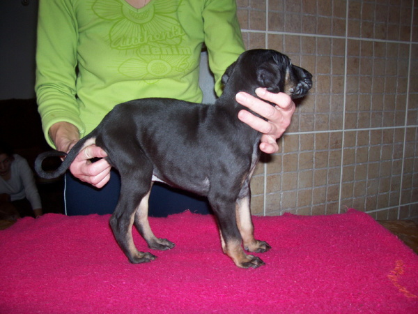 Vrh B — fotografie