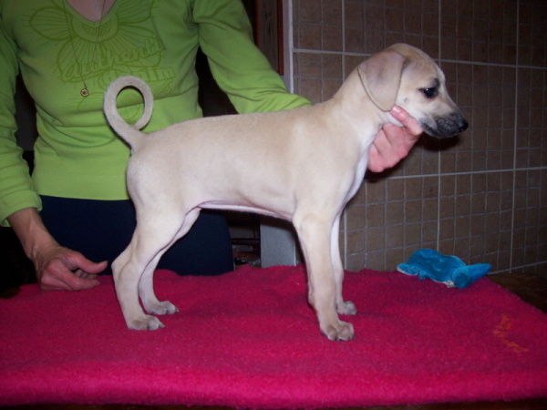 Vrh B — fotografie