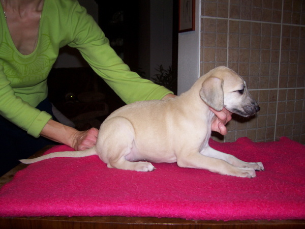 Vrh B — fotografie