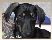 Vrh B — fotografie