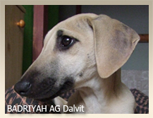 Vrh B — fotografie