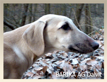 Vrh B — fotografie