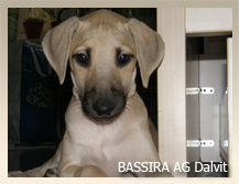 Vrh B — fotografie