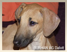 Vrh B — fotografie