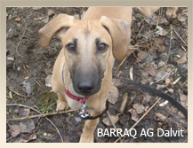 Vrh B — fotografie