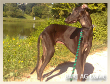 Vrh B — fotografie