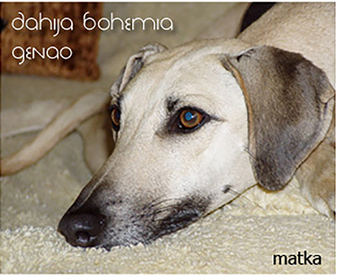 Vrh B — fotografie