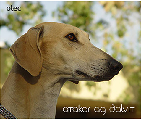 Vrh B — fotografie