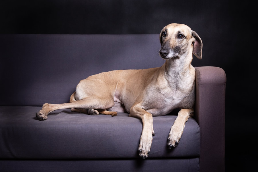 Vrh C — fotografie