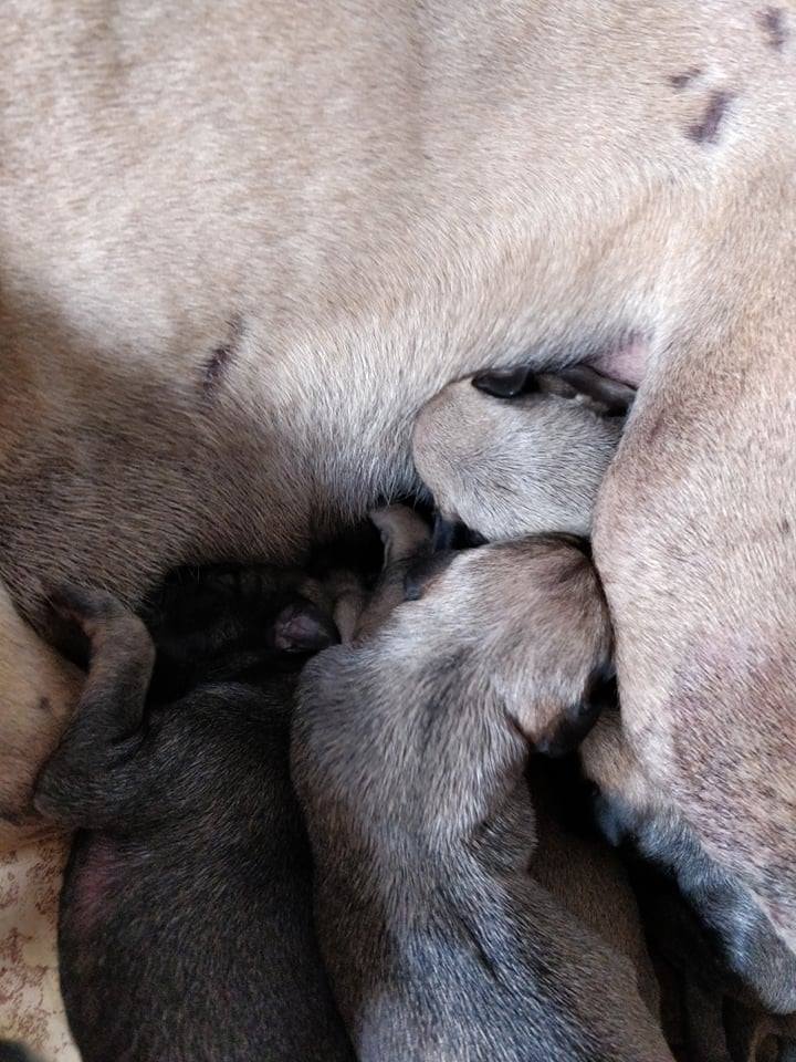 Vrh C — fotografie