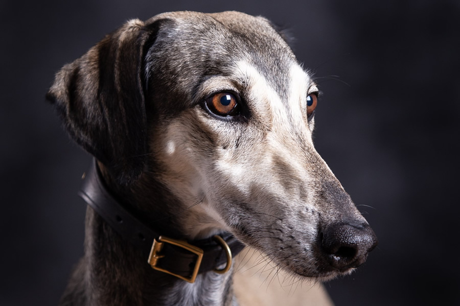 Vrh C — fotografie