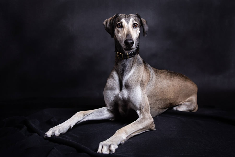 Vrh C — fotografie