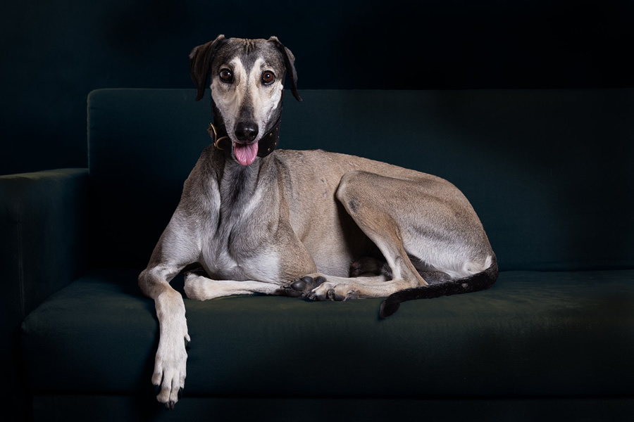 Vrh C — fotografie