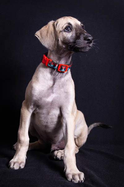 Vrh C — fotografie