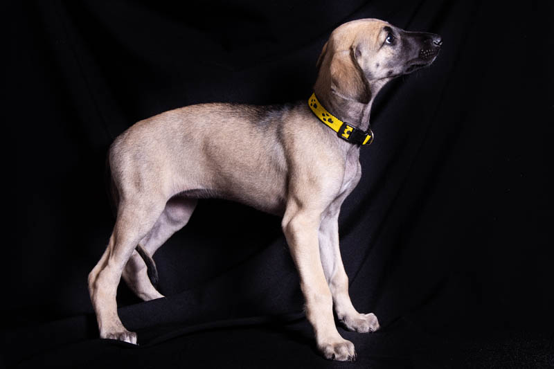 Vrh C — fotografie